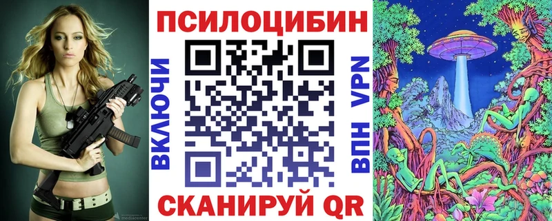 купить   Белокуриха  Галлюциногенные грибы Psilocybe 